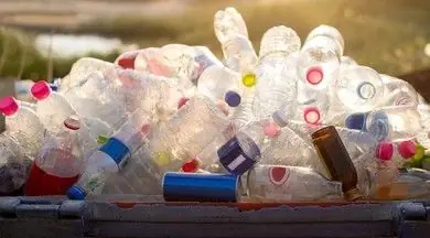 The Real Danger of PET Bottle Waste — Global Facts and a Roadmap for Collective Action
